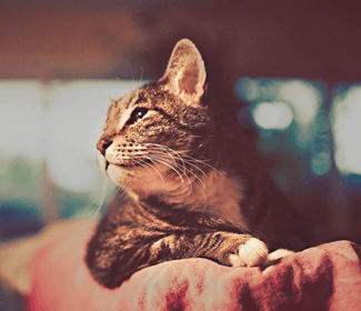 如何提高职场沟通技巧 如何提高职场交际能力