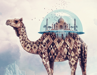 职业规划课有用吗 大学职业规划课有用吗