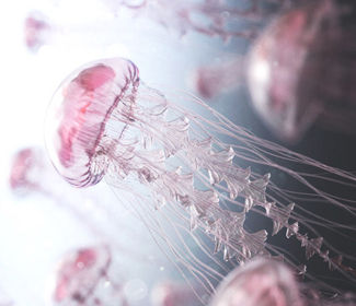 正常入职体检表模板，正常入职体检表模板图片